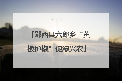 郧西县六郎乡“黄板护椒”促绿兴农