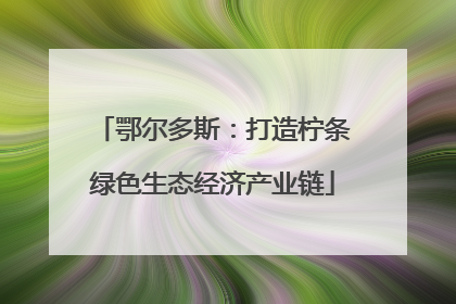 鄂尔多斯：打造柠条绿色生态经济产业链