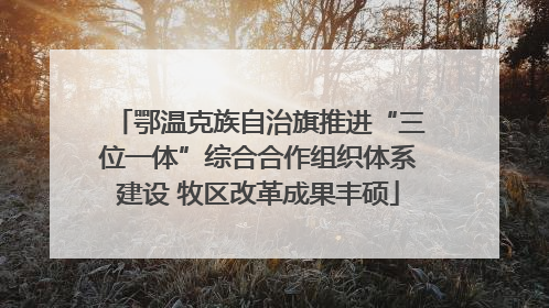 鄂温克族自治旗推进“三位一体”综合合作组织体系建设 牧区改革成果丰硕