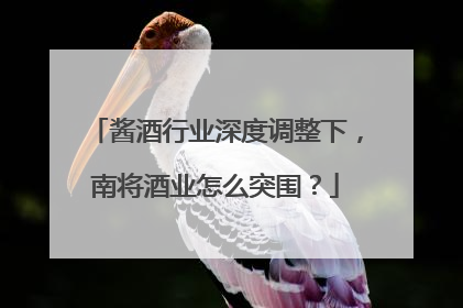 酱酒行业深度调整下，南将酒业怎么突围？