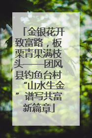 金银花开致富路，板栗青果满枝头——团风县钓鱼台村“山水生金”谱写共富新篇章