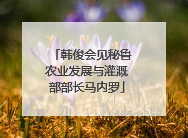 韩俊会见秘鲁农业发展与灌溉部部长马内罗