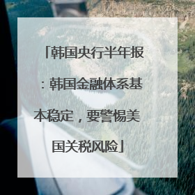 韩国央行半年报：韩国金融体系基本稳定，要警惕美国关税风险