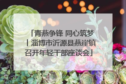 青燕争锋 同心筑梦丨淄博市沂源县燕崖镇召开年轻干部座谈会