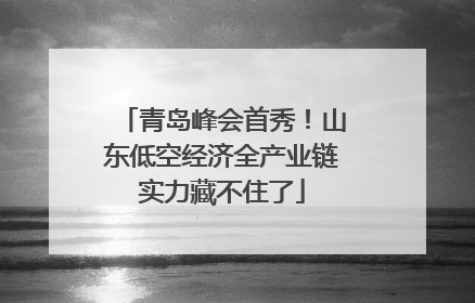 青岛峰会首秀！山东低空经济全产业链实力藏不住了