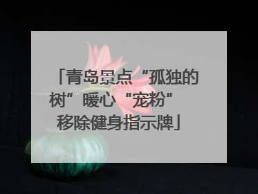青岛景点“孤独的树”暖心“宠粉” 移除健身指示牌