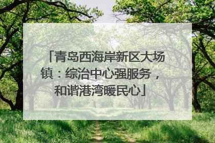 青岛西海岸新区大场镇：综治中心强服务，和谐港湾暖民心