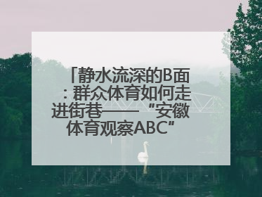 静水流深的B面：群众体育如何走进街巷——“安徽体育观察ABC”系列报道之二
