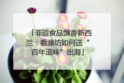 非遗食品飘香新西兰：看潍坊如何送“百年滋味”出海