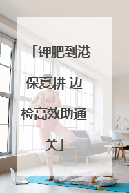 钾肥到港保夏耕 边检高效助通关