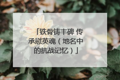铁骨铸丰碑 传承慰英魂（地名中的抗战记忆）