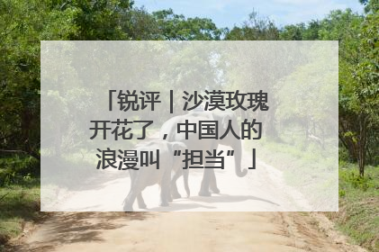 锐评｜沙漠玫瑰开花了，中国人的浪漫叫“担当”