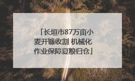 长垣市87万亩小麦开镰收割 机械化作业保障夏粮归仓