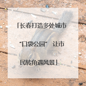 长春打造多处城市“口袋公园” 让市民转角遇风景