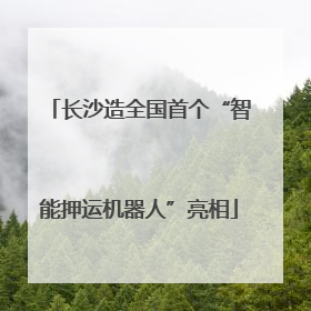 长沙造全国首个“智能押运机器人”亮相