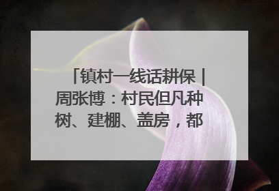 镇村一线话耕保｜周张博：村民但凡种树、建棚、盖房，都要向街道报批