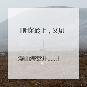 阴条岭上，又见漫山海棠开……