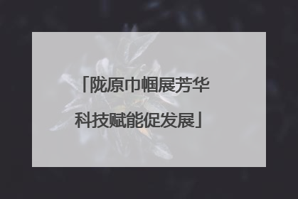陇原巾帼展芳华 科技赋能促发展
