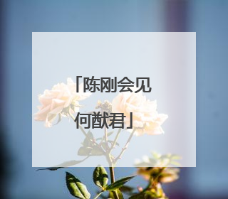 陈刚会见何猷君