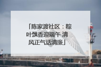 陈家渡社区：粽叶飘香迎端午 清风正气话清廉