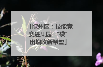 陕州区：技能竞赛进果园 “袋”出增收新希望