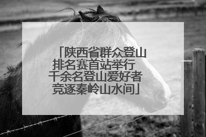 陕西省群众登山排名赛首站举行 千余名登山爱好者竞逐秦岭山水间