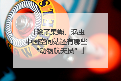 除了果蝇、涡虫 中国空间站还有哪些“动物航天员”