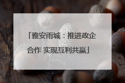 雅安雨城：推进政企合作 实现互利共赢