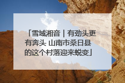 雪域湘音｜有劲头更有奔头 山南市桑日县的这个村落迎来蜕变