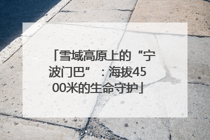 雪域高原上的“宁波门巴”：海拔4500米的生命守护
