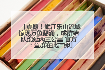 震撼！岷江乐山流域惊现万鱼翻涌，成群结队绵延两三公里 官方：鱼群在此产卵