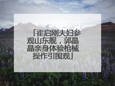 霍启刚夫妇参观山东舰，郭晶晶亲身体验枪械操作引围观