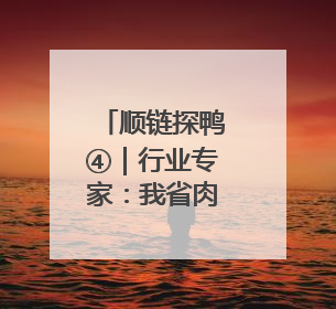 顺链探鸭④｜行业专家：我省肉鸭养殖品种80%是樱桃谷鸭