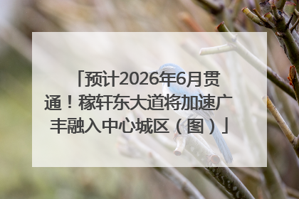 预计2026年6月贯通！稼轩东大道将加速广丰融入中心城区（图）