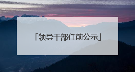 领导干部任前公示
