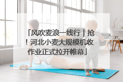 风吹麦浪一线行｜抢！河北小麦大规模机收作业正式拉开帷幕