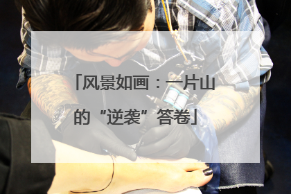 风景如画：一片山的“逆袭”答卷