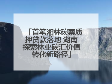 首笔湘林碳票质押贷款落地 湖南探索林业碳汇价值转化新路径