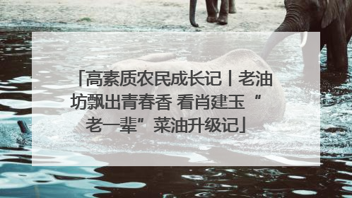 高素质农民成长记丨老油坊飘出青春香 看肖建玉“老一辈”菜油升级记