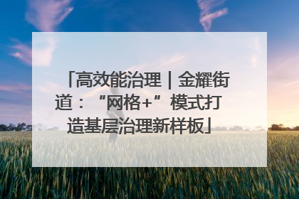 高效能治理｜金耀街道：“网格+”模式打造基层治理新样板