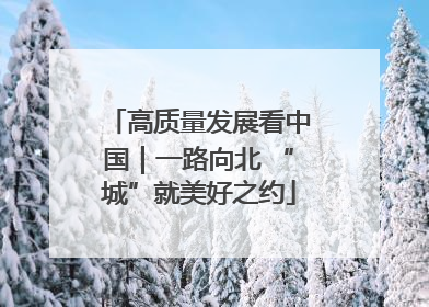 高质量发展看中国｜一路向北 “城”就美好之约