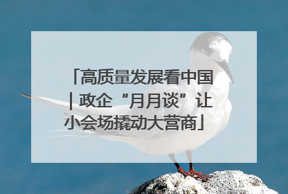 高质量发展看中国｜政企“月月谈”让小会场撬动大营商