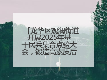 龙华区观澜街道开展2025年基干民兵集合点验大会，锻造高素质后备力量
