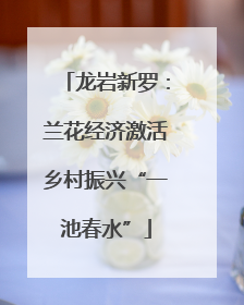 龙岩新罗：兰花经济激活乡村振兴“一池春水”