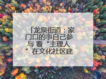 龙泉街道：家门口的事自己参与 看“主理人”在文化社区建设中大放异彩