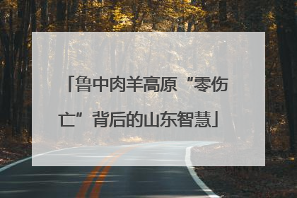 鲁中肉羊高原“零伤亡”背后的山东智慧