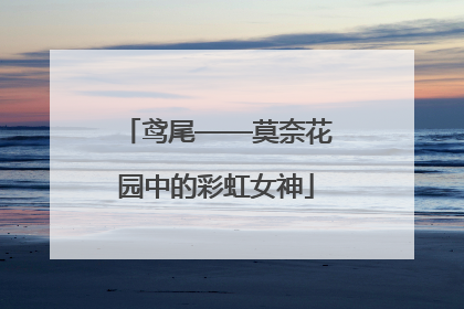 鸢尾——莫奈花园中的彩虹女神