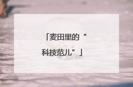 麦田里的“科技范儿”