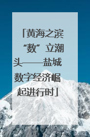 黄海之滨“数”立潮头——盐城数字经济崛起进行时