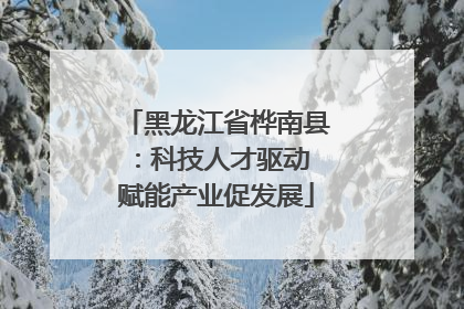 黑龙江省桦南县：科技人才驱动 赋能产业促发展